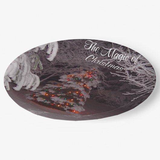 Assiettes En Carton Branches couvertes de neige Lumières de Noël (Angle)