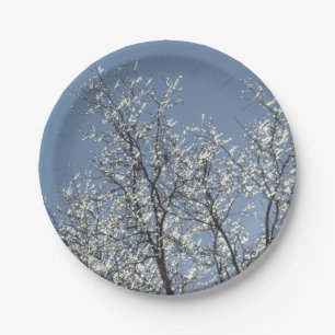 Assiettes En Carton Branches Icy dans le ciel bleu d'hiver