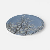 Assiettes En Carton Branches Icy dans le ciel bleu d'hiver (Angle)