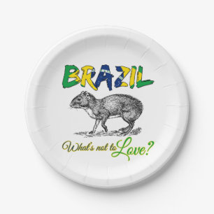 Assiettes En Carton Brésil Aimer Brasil Brésil - Cadeau Patriotique