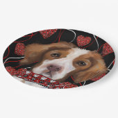 Assiettes En Carton Bretagne Espagne (Angle)