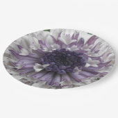 Assiettes En Carton Brett (Angle)