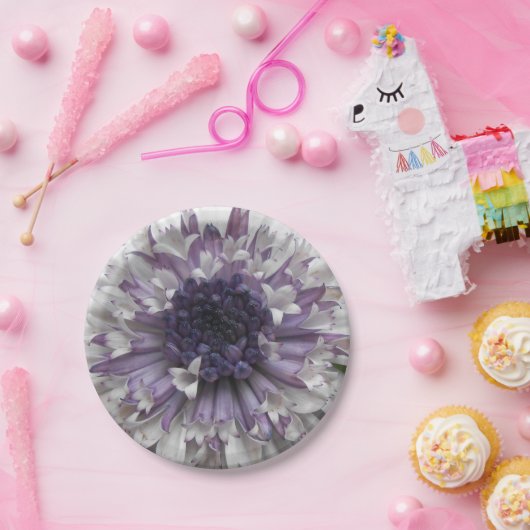 Assiettes En Carton Brett (Fête)