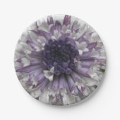 Assiettes En Carton Brett (Devant)