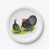 Assiettes En Carton Bronze large de Turquie (Devant)