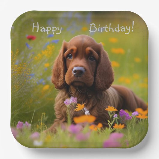 Assiettes En Carton Brown Cocker Spaniel (Recto)