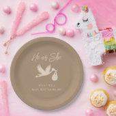 Assiettes En Carton Brown Stork Baby Delivery He or She Gender Reveal (Fête)