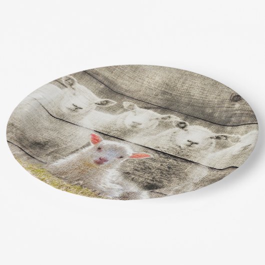 Assiettes En Carton Brûlure d'agneau de bébé à mouton rustique (Angle)