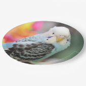 Assiettes En Carton Budgie (Angle)