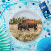 Assiettes En Carton Buffalo (Fête)