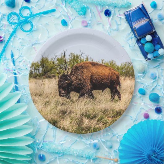 Assiettes En Carton Buffalo (Fête)