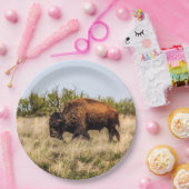 Assiettes En Carton Buffalo (Fête)