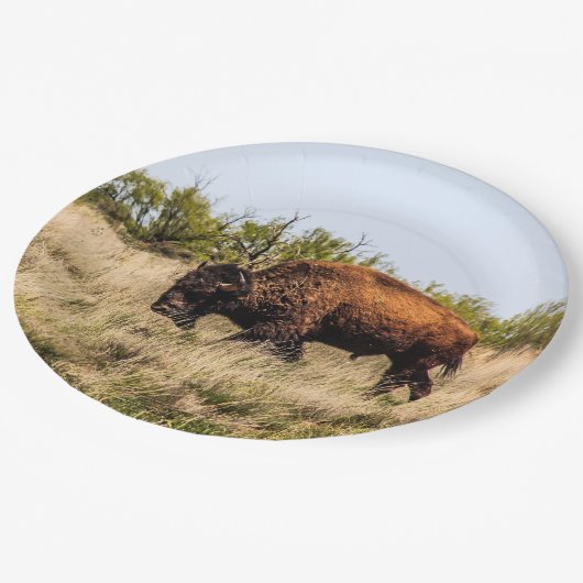 Assiettes En Carton Buffalo (Angle)