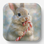 Assiettes En Carton Bunny Rabbit Nibbling On a Candy Cane (Recto)