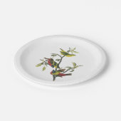 Assiettes En Carton Bunting peint par Audubon (Angle)