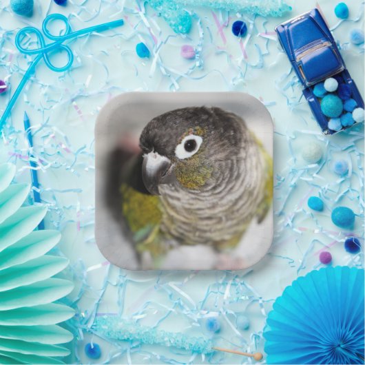 Assiettes En Carton Burbel (Fête)