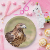 Assiettes En Carton Buse à queue rouge dans la vallée de l'Hudson (Fête)