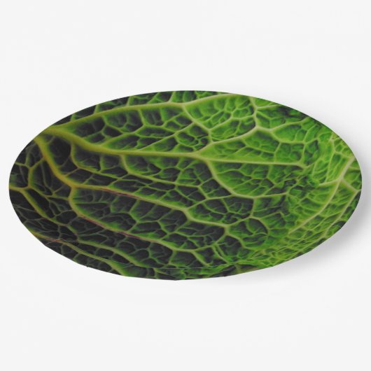 ASSIETTES EN CARTON CABBAGE (Angle)