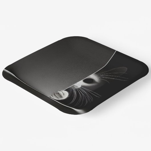 Assiettes En Carton Cachette Dans L'Ombre (Angulaire)