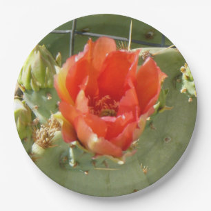 Assiettes En Carton Cactus Grandes plaques de papier dur et beau