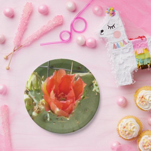 Assiettes En Carton Cactus Plaques en papier pures et belles (Fête)