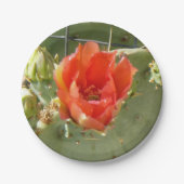 Assiettes En Carton Cactus Plaques en papier pures et belles (Devant)
