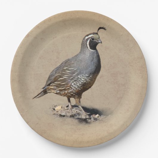 ASSIETTES EN CARTON CAILLES DE CALIFORNIE (Devant)