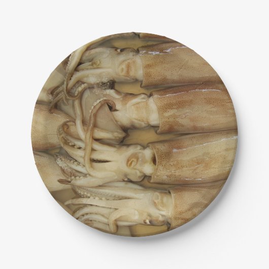 Assiettes En Carton Calamari (Devant)