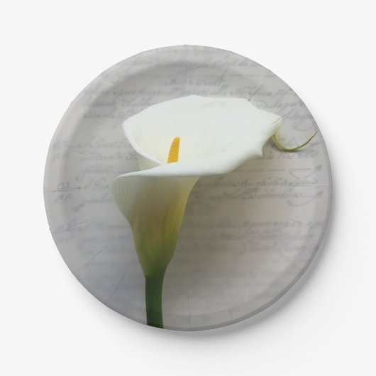 Assiettes En Carton Calla lily (Devant)