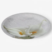 Assiettes En Carton Calla ment sur arrière - plan texturé (Angle)