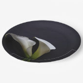 Assiettes En Carton Calla ment sur un arrière - plan sombre (Angle)