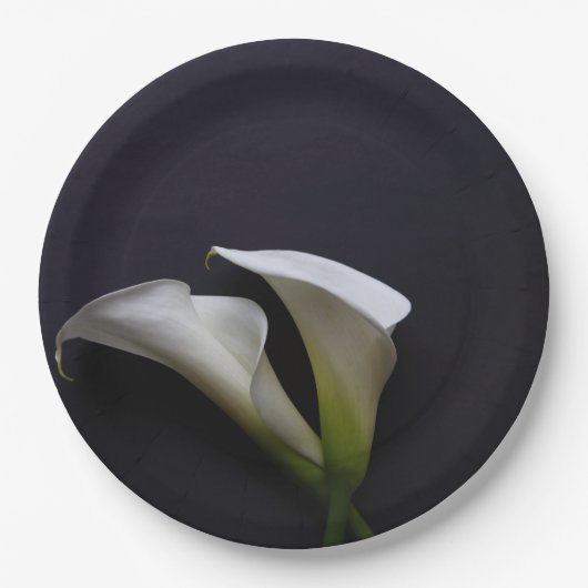 Assiettes En Carton Calla ment sur un arrière - plan sombre (Devant)