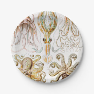 Assiettes En Carton Calmar de poulpe, Gamochonia, par Ernst Haeckel
