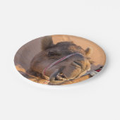 Assiettes En Carton Camel amusant (Angle)