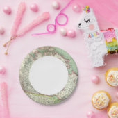 Assiettes En Carton Canada 3 (Fête)