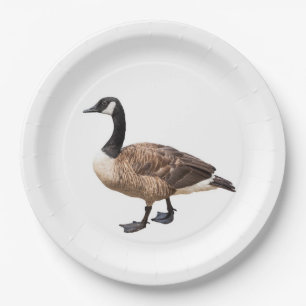 Assiettes En Carton Canada Goose