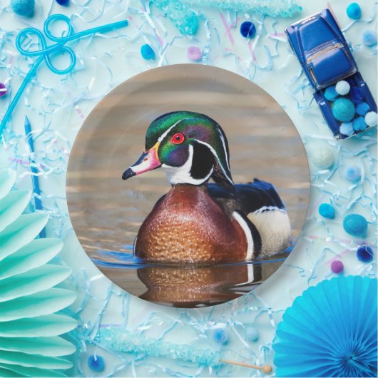 Assiettes En Carton Canard à bois dans un étang (Fête)