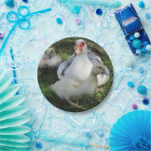 Assiettes En Carton Canard De La Muscovy Et Collier (Fête)