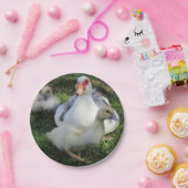 Assiettes En Carton Canard De La Muscovy Et Collier (Fête)