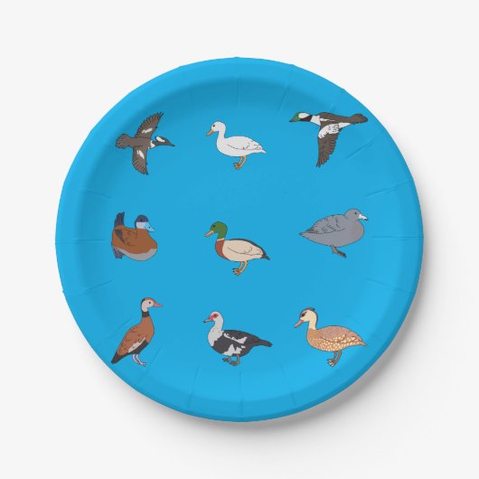 Assiettes En Carton Canards (Devant)