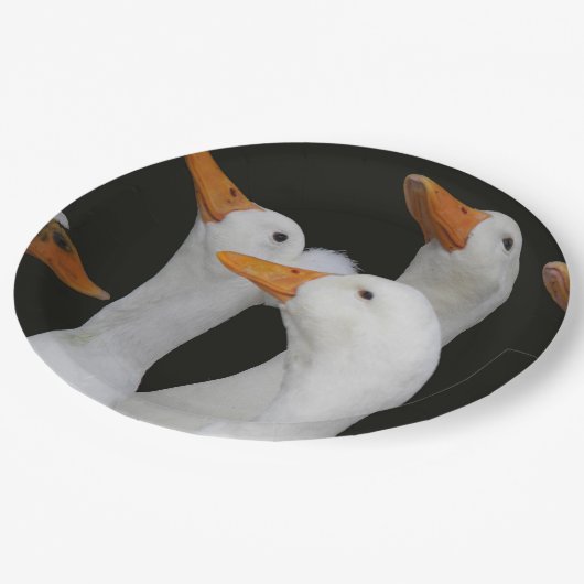 Assiettes En Carton Canards blancs (Angle)