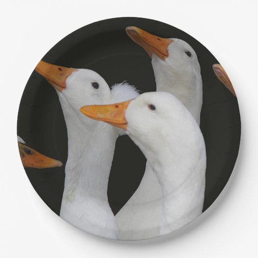 Assiettes En Carton Canards blancs (Devant)