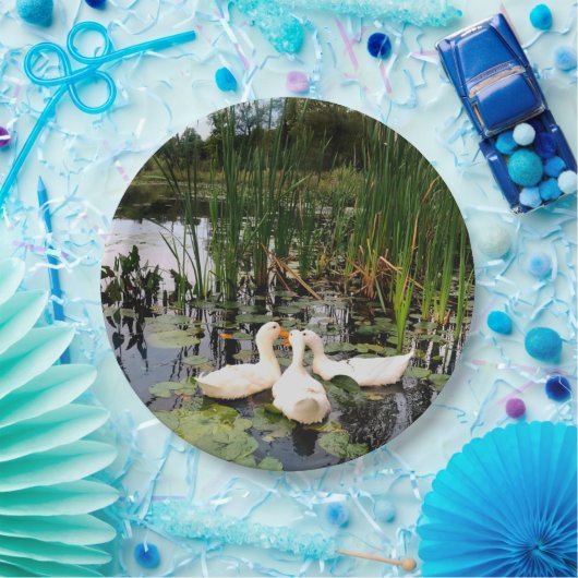 Assiettes En Carton Canards blancs, caleçons, cattails, lac (Fête)