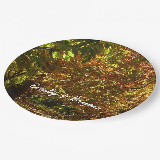 Assiettes En Carton Canopée des Feuilles d'automne II Photographie d'a (Angle)