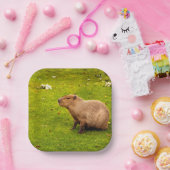 Assiettes En Carton Capybara (Fête)