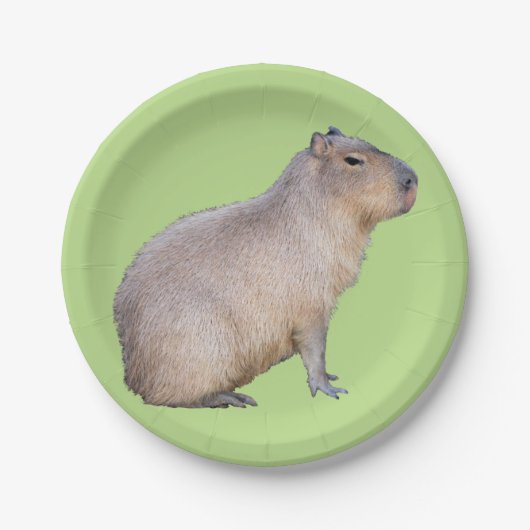 Assiettes En Carton Capybara (Devant)