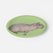 Assiettes En Carton Capybara (Angle)
