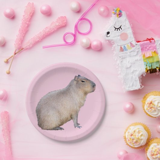 Assiettes En Carton Capybara (Fête)
