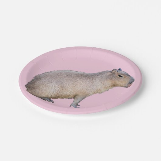 Assiettes En Carton Capybara (Angle)