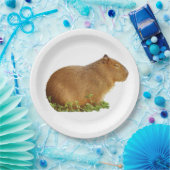 Assiettes En Carton capybara paper plate (Fête)